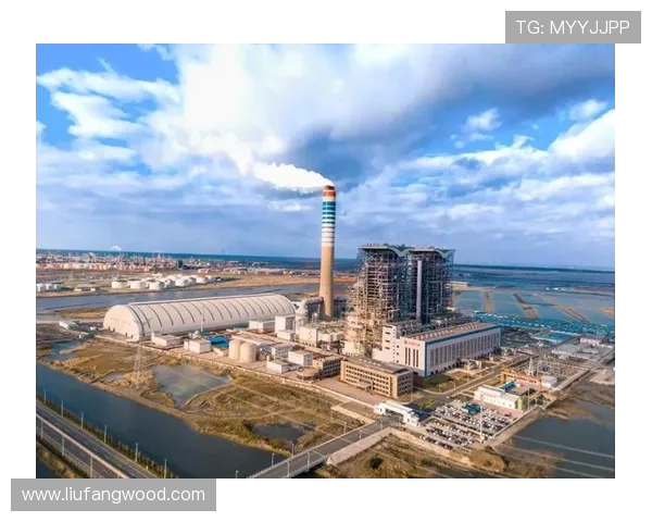 天津先行者引领创新潮流推动城市高质量发展新机遇