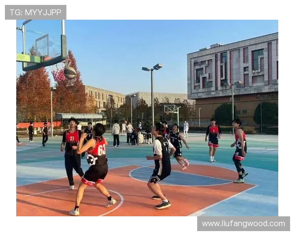 篮球点燃青春梦想凝聚团队力量谱写热血拼搏新篇章