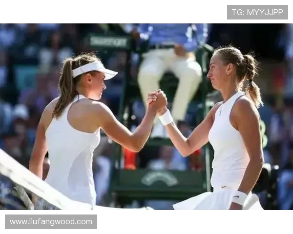 北京网球队与南京网球队赛后战术分析与复盘探讨