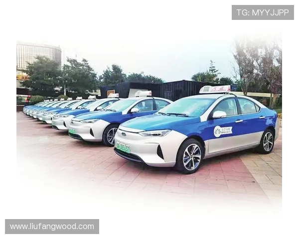 广州羽毛球队转型之路探索新机遇与挑战的特别报道