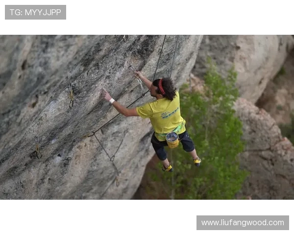 成都攀岩队与重庆攀岩队赛后战术分析与总结探讨