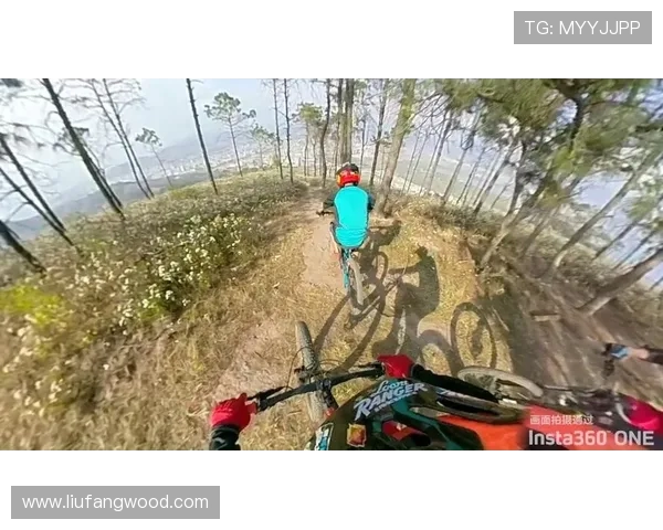 成都极限运动队的转型之路探索与挑战的全景报道