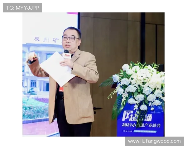 深圳极限运动队实力对比深度解析与发展前景展望 深圳极限运动队实力对比深度解析与发展前景展望