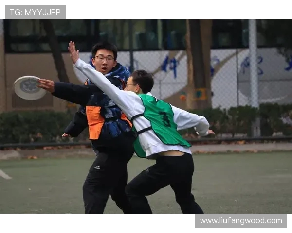 重庆飞盘队与武汉飞盘队赛后战术分析与总结探讨