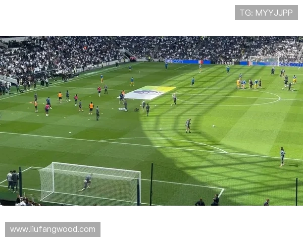 2020年热刺对阵布莱顿精彩回顾与战术分析 2020年热刺对阵布莱顿精彩回顾与战术分析