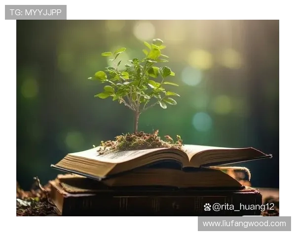 景菡一的成长之路：从平凡到卓越的心灵旅程与人生启示